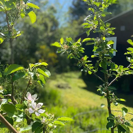 Peace And Quiet In Idyllic Original Prázdninový dům *